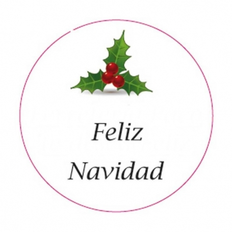 estuche colorear navidad