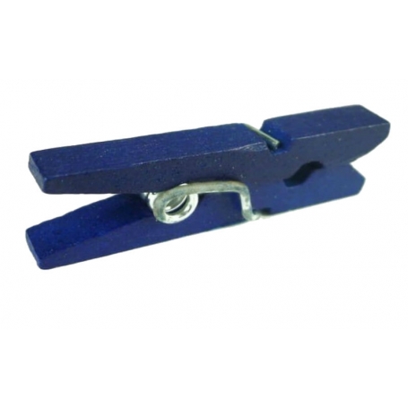 Pinzas Pequeñas De Colores