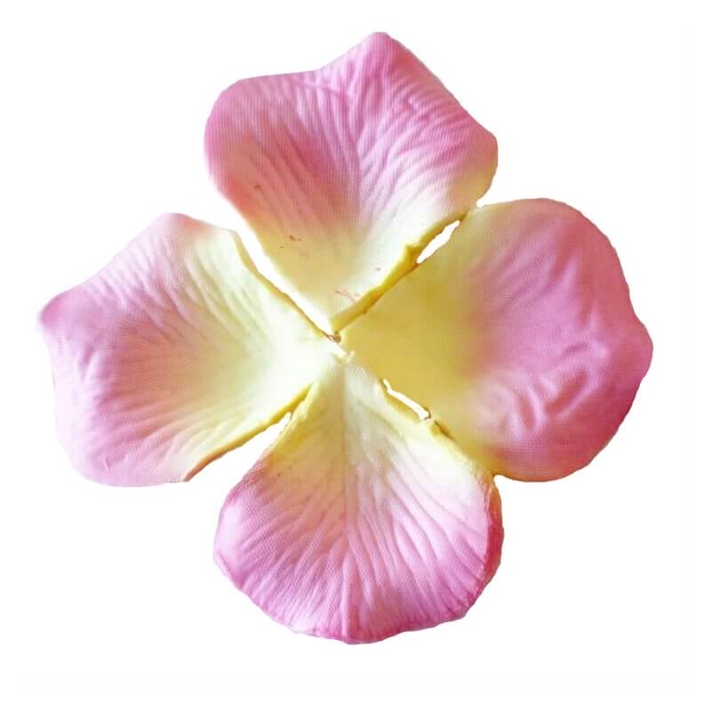 Pétalos Color Rosa Claro Pétalos Color Rosa Claro