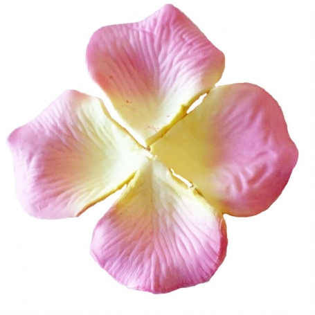 Pétalos Color Rosa Claro