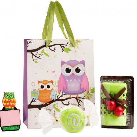 Toalla En Forma De Pastel Con Toalla Caramelo E Iman En Bolsa De Búhos