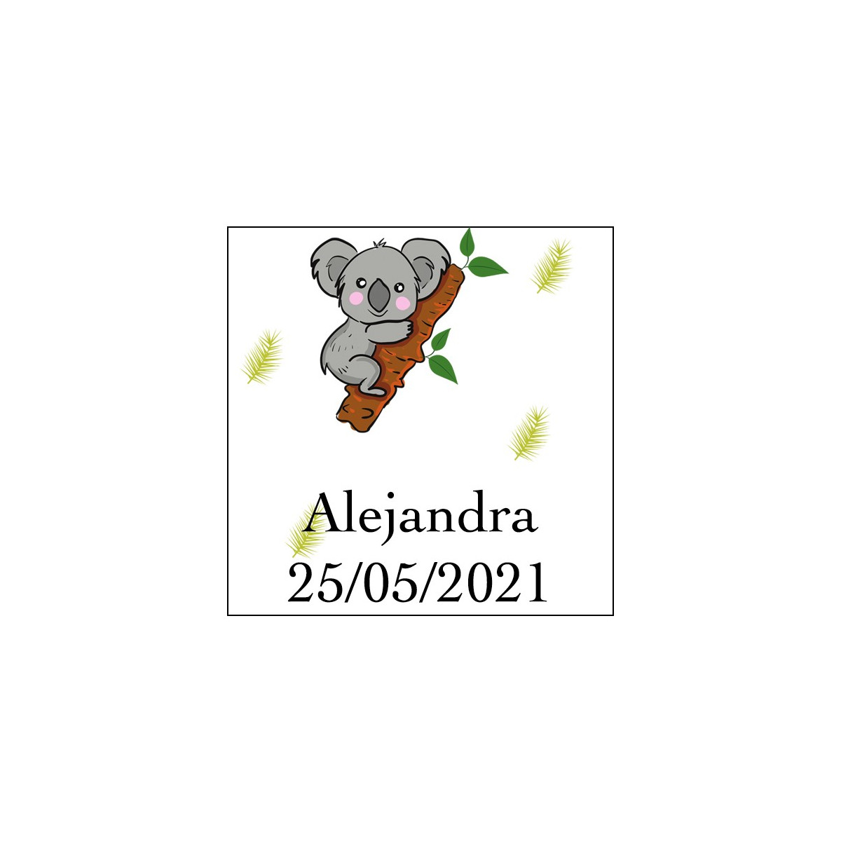 Adhesivo Koala Cuadrado Para Personalizar Con Nombre Y Fecha