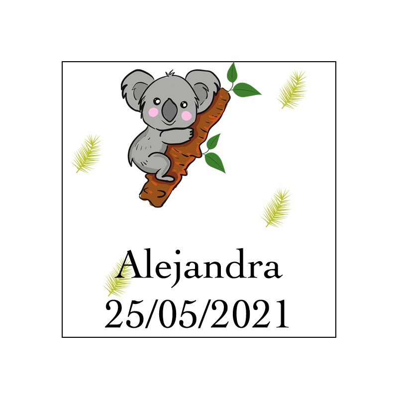 Adhesivo Koala Cuadrado Para Personalizar Con Nombre Y Fecha Adhesivo Koala Cuadrado Para Personalizar Con Nombre Y Fecha
