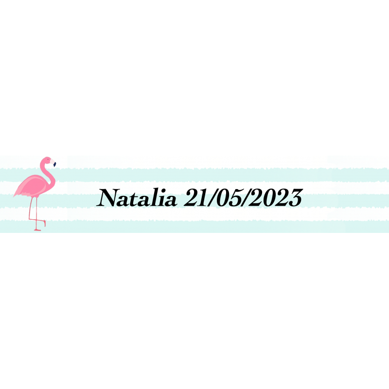 Adhesivo Flamenco, Rectangular Para Personalizar Con Nombre Y Fecha Adhesivo Flamenco, Rectangular Para Personalizar Con Nombre Y Fecha