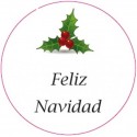 Bote de gel hidroalcohólico para navidad personalizable