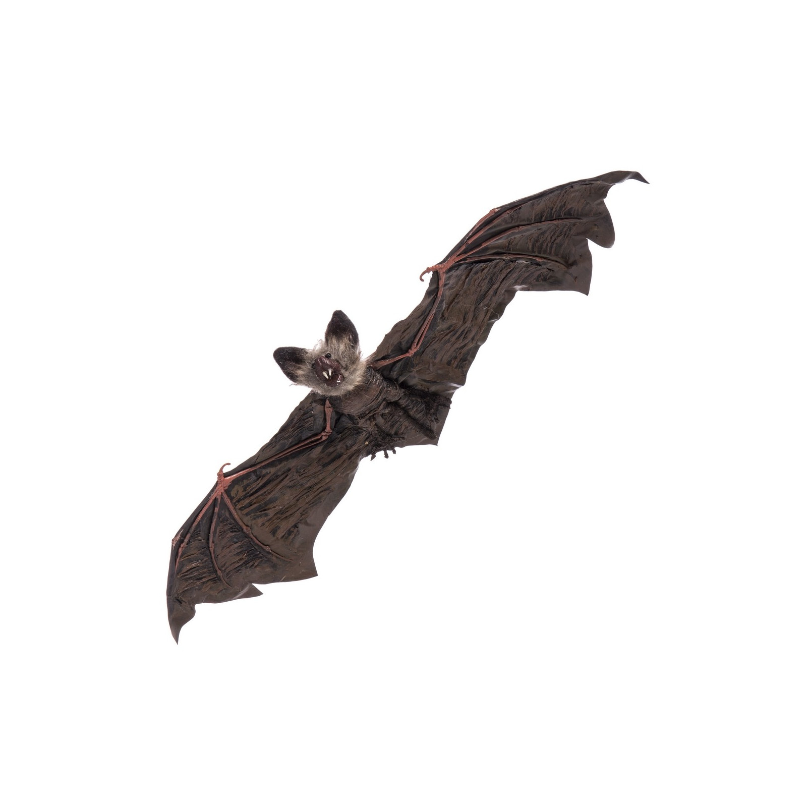 Murciélago colgante 65 x 24 x 6 cm