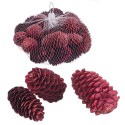 Bolsa 200 gr piñas medianas rojo