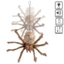 Araña pelo marrón negro 60 x 45 x 10 cm