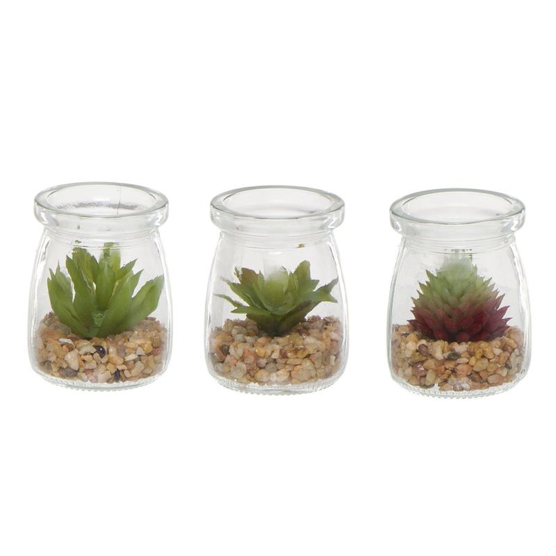 Cactus maceta cristal 3m Cactus maceta cristal 3m