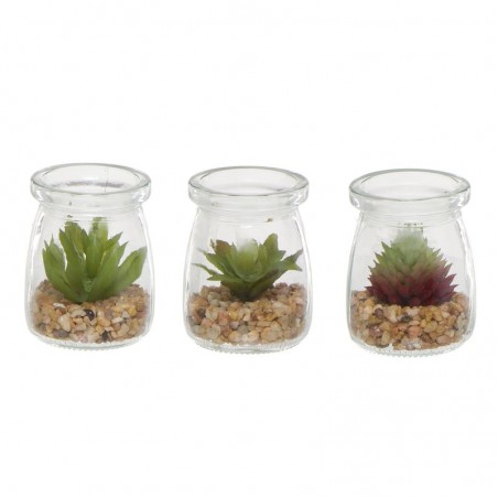 Cactus Maceta Cristal 3m