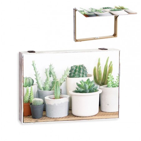 Tapa Contador Cactus