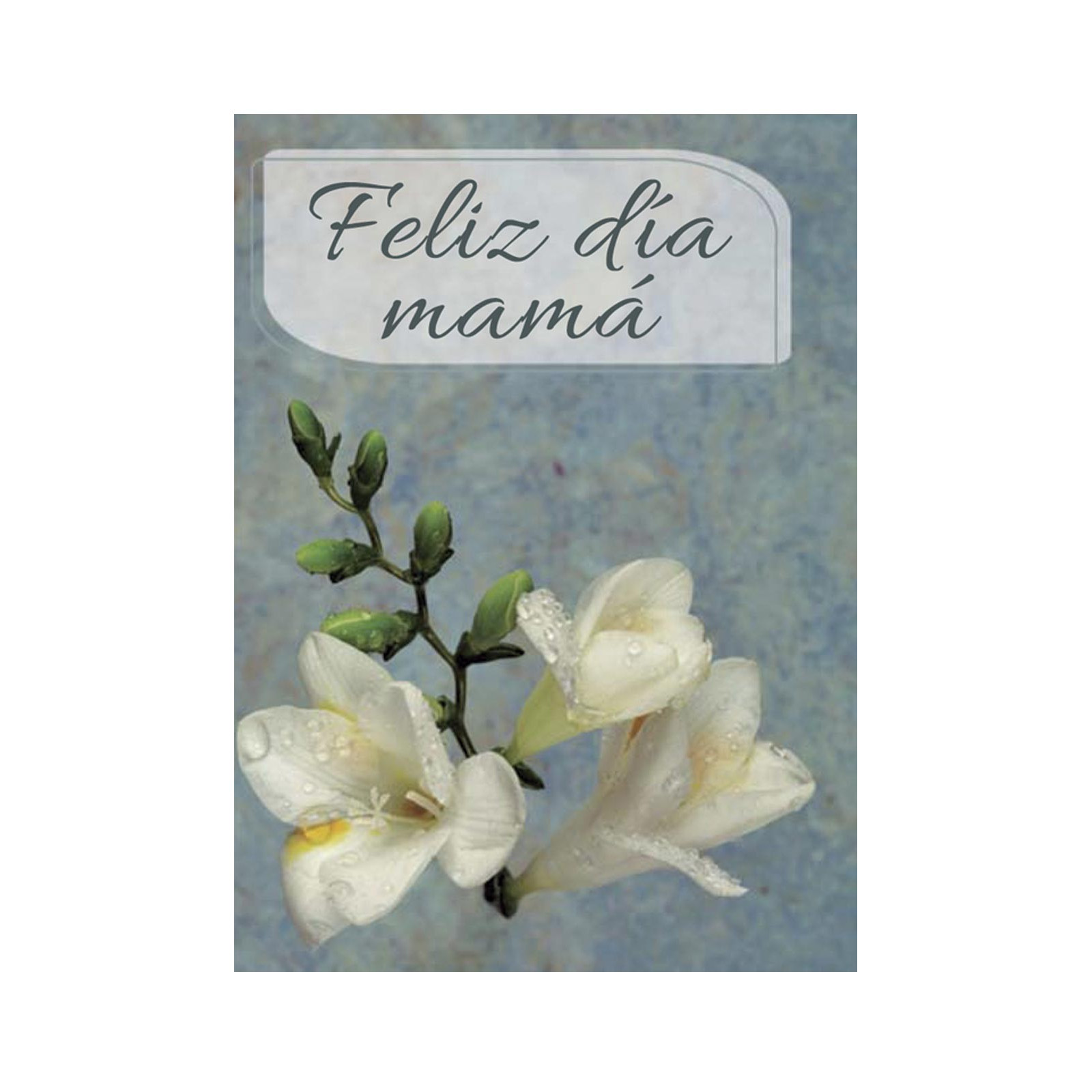Card feliz día mamá mini
