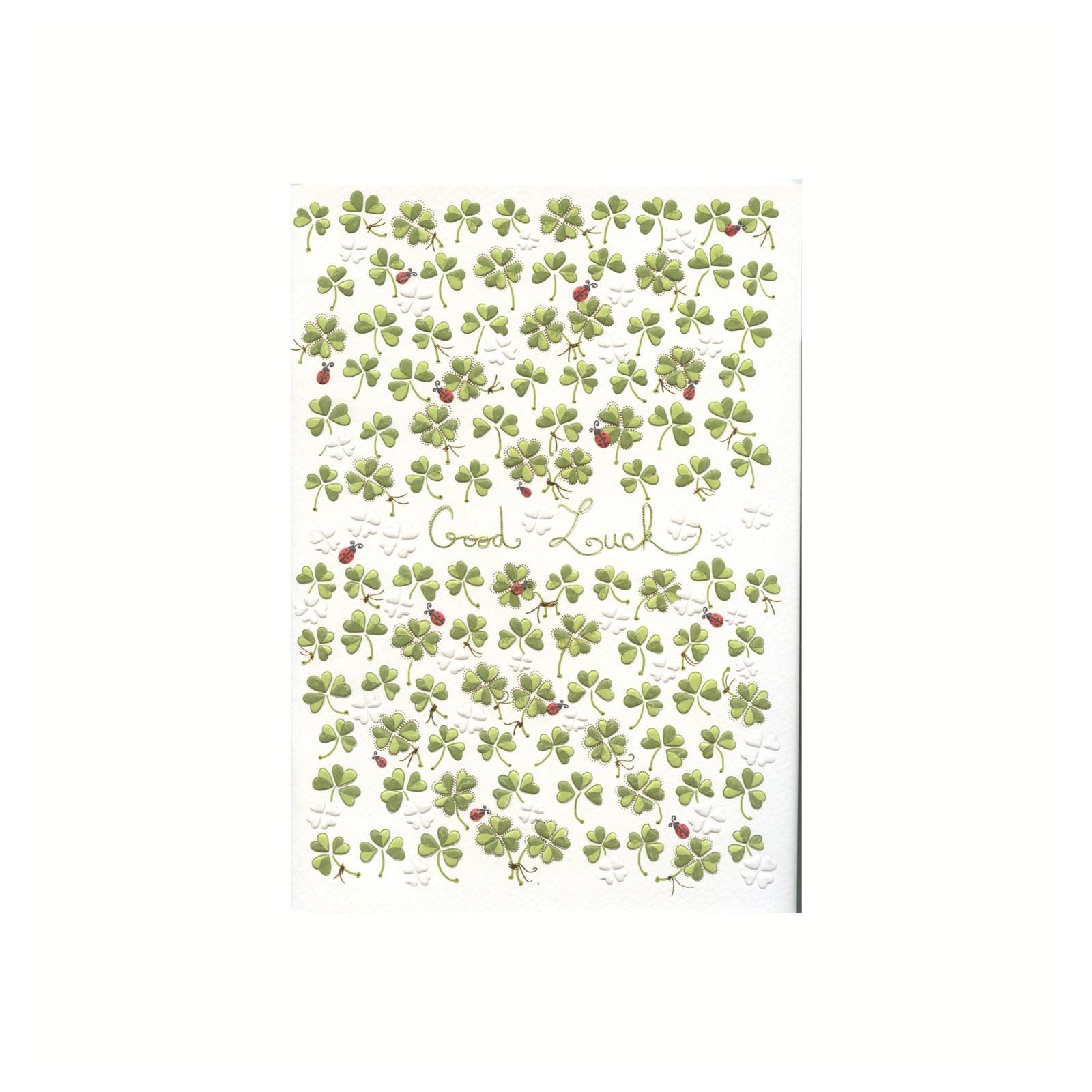 Notebook turnowsky tréboles