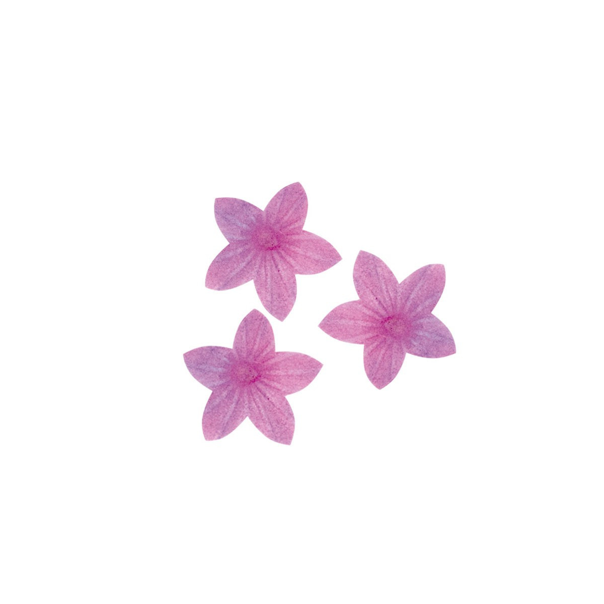 Lila oblea violeta 2cm