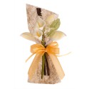 Presentacion Boda Ramos Calas 21x9cm