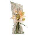 Presentacion Boda Ramos Calas 21x9cm
