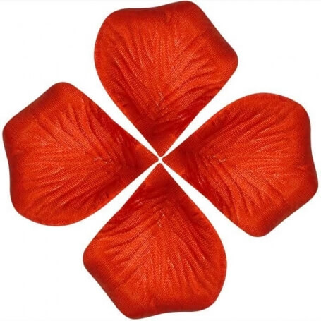 Bolsas Pétalos Boda