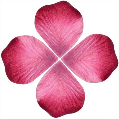 Bolsas De Pétalos De Rosas