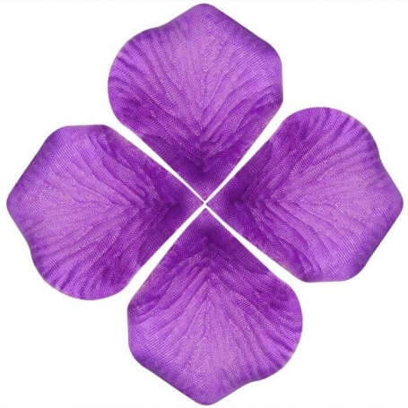 Pétalos De Rosa Decoración