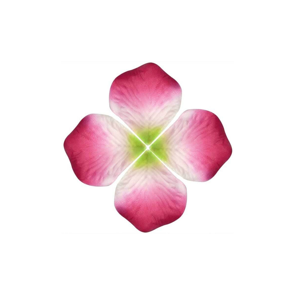 Pétalos de colores vivos