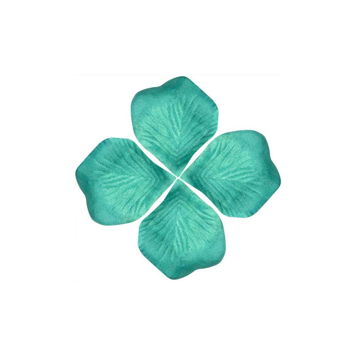 Pétalos colores vivos