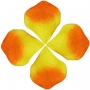 Pétalos De Colores