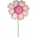 Piruletas De Esponjitas En Forma De Flor