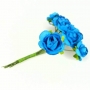 Pic Flores
