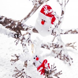 Set de Adornos de Navidad