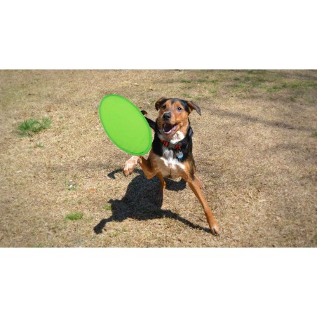 Frisbee de tela
