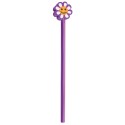 Lapiz flower