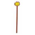 Lapiz Madera Leon