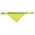 Collar alta visibilidad can
