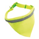 Collar alta visibilidad can