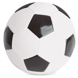 Balon De Reglamento