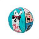 Pelota Llama de Pvc de 14 cm