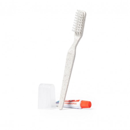 Set dental con cepillo y pasta presentado en caja