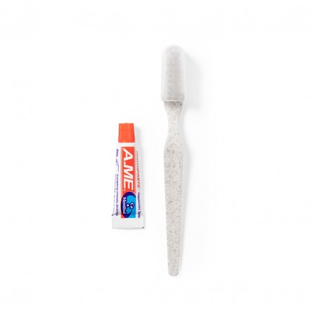 Set dental con cepillo y pasta presentado en caja