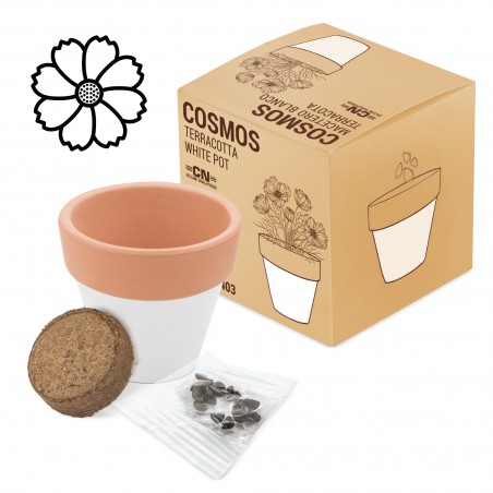 Maceta Terracota  White