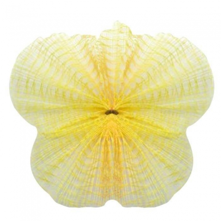 Tul Net Amarillo