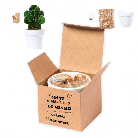 Recuerdos Originales Maceta con Semillas de Cactus en Caja Personalizada