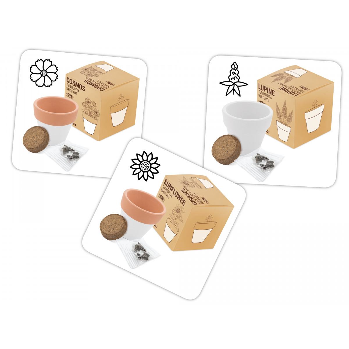 Regalos Diferentes Maceta Terracota con Semillas