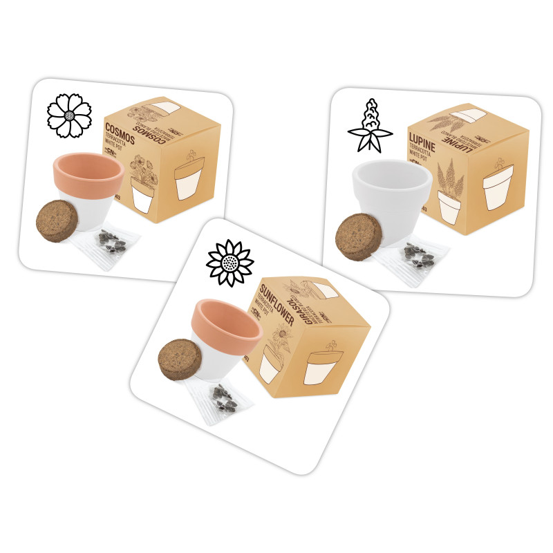 Regalos Diferentes Maceta Terracota con Semillas