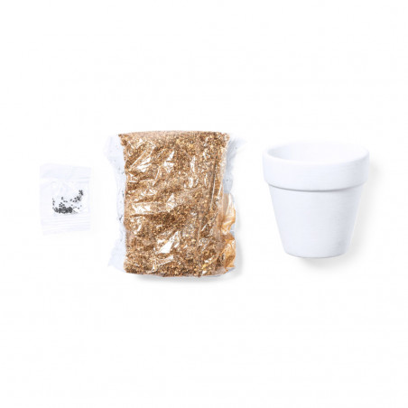 Ideas Originales Maceta de terracota con semillas de cactus