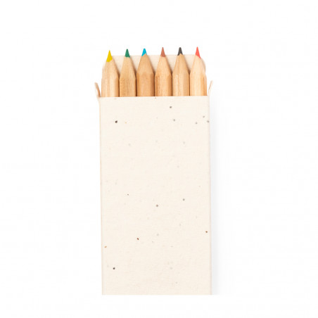 Lápices de colores con semillas en estuche de cartón para dibujar
