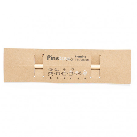 Lápiz con semillas de pino para plantar