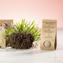 Semillas de flores en forma de bombón con adhesivo personalizable para detalle de boda