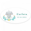 Tarjeta recordatorio personalizable con piruleta y adhesivo ovalado para detalles bautizos unisex