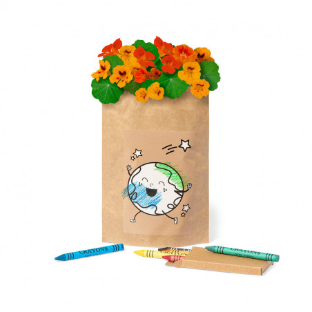 Maceta para colorear con semillas ceras de colores y adhesivo personalizable para regalar