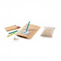 Maceta para colorear con semillas ceras de colores y adhesivo personalizable para regalar